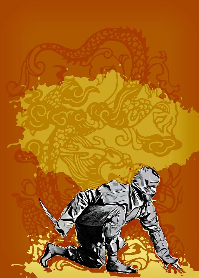 The assassin