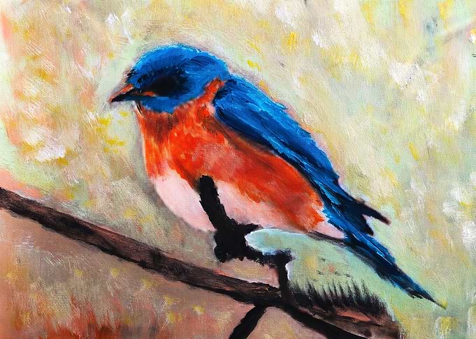 Colourful Bird