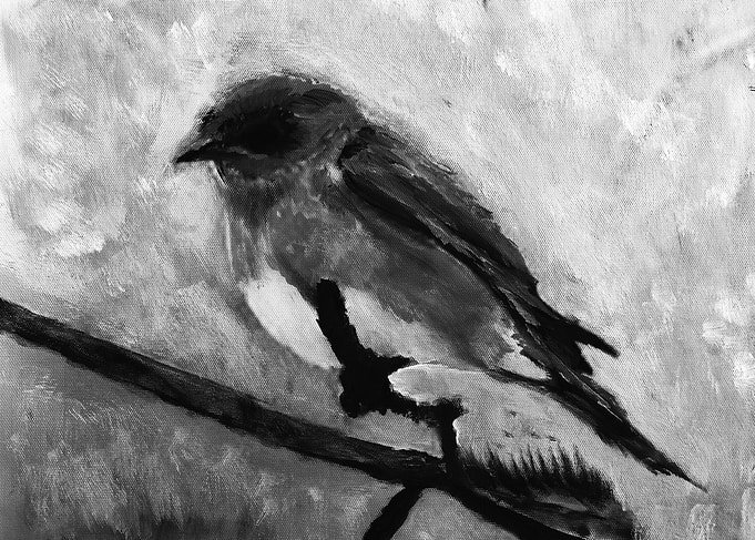 B W Bird