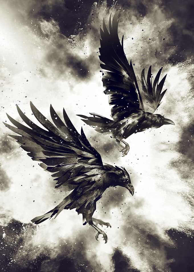 Ravens