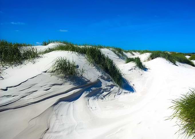 seaside landscape