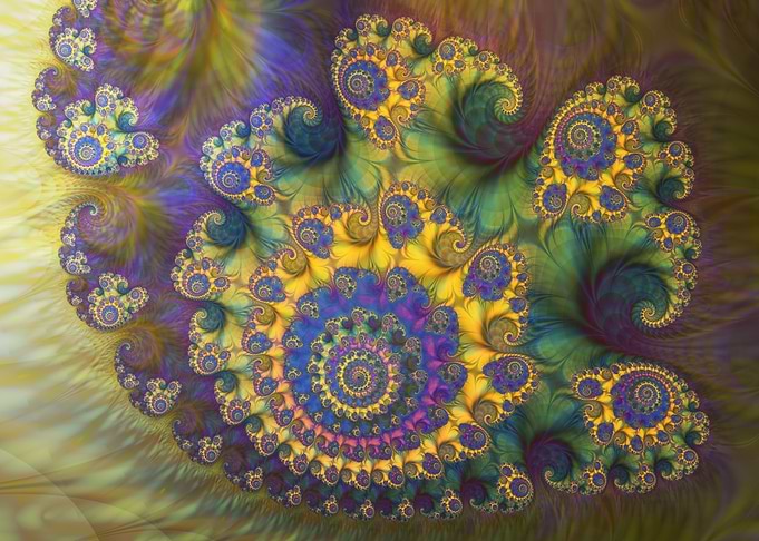 Big Royal Coral