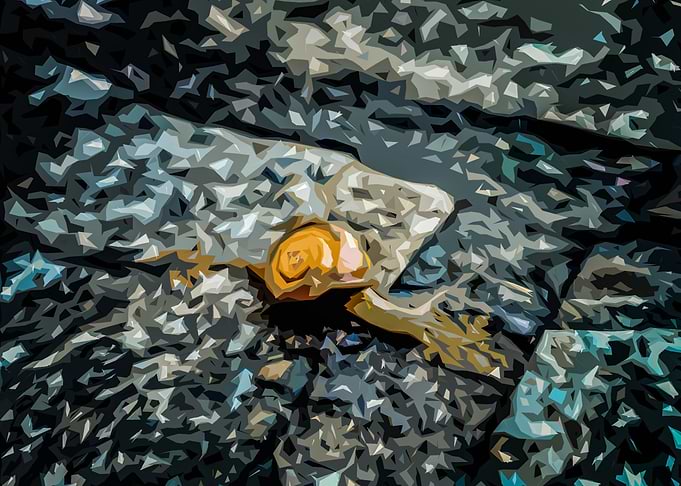 Snail Texture art