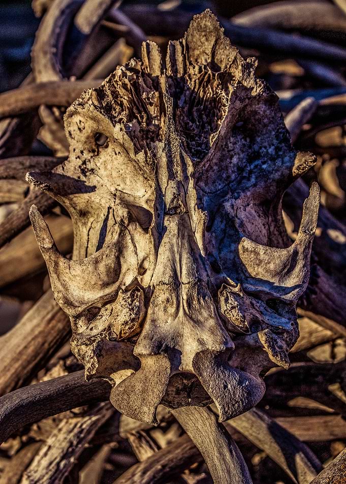 Remains