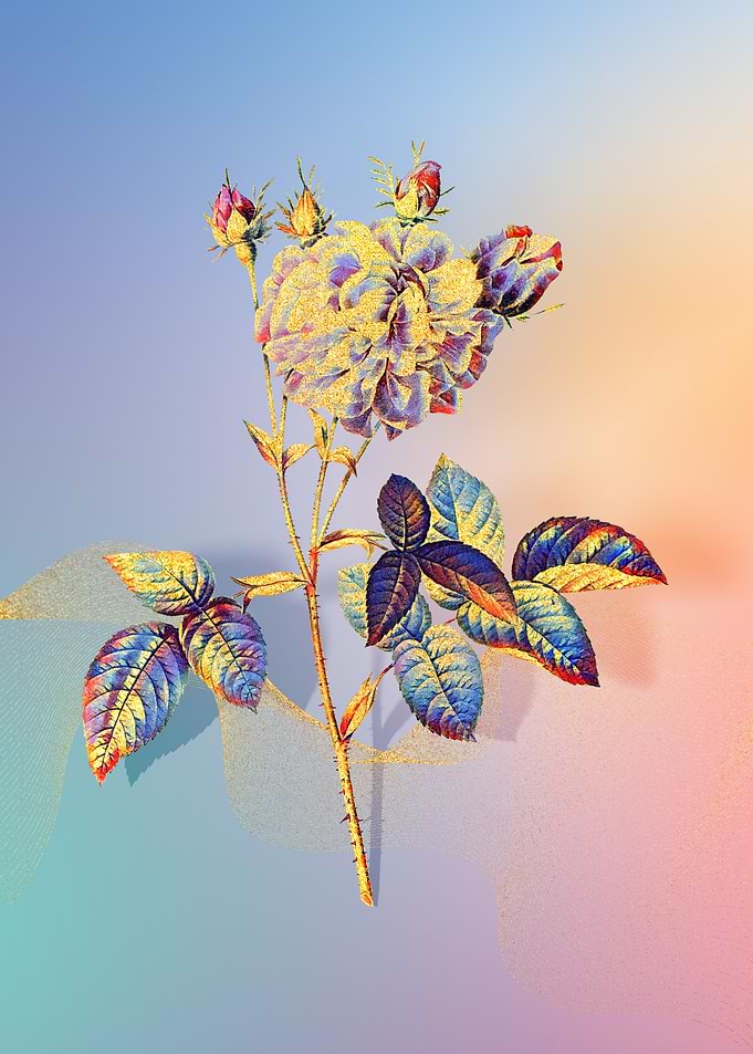 Prismatic Agatha Rose