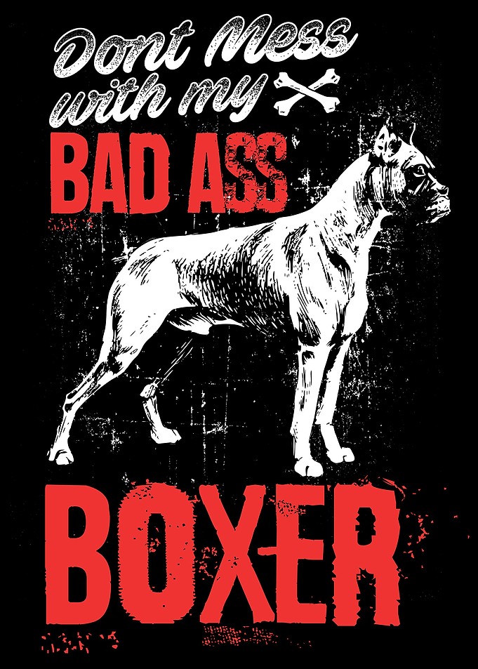 Boxer Dog
