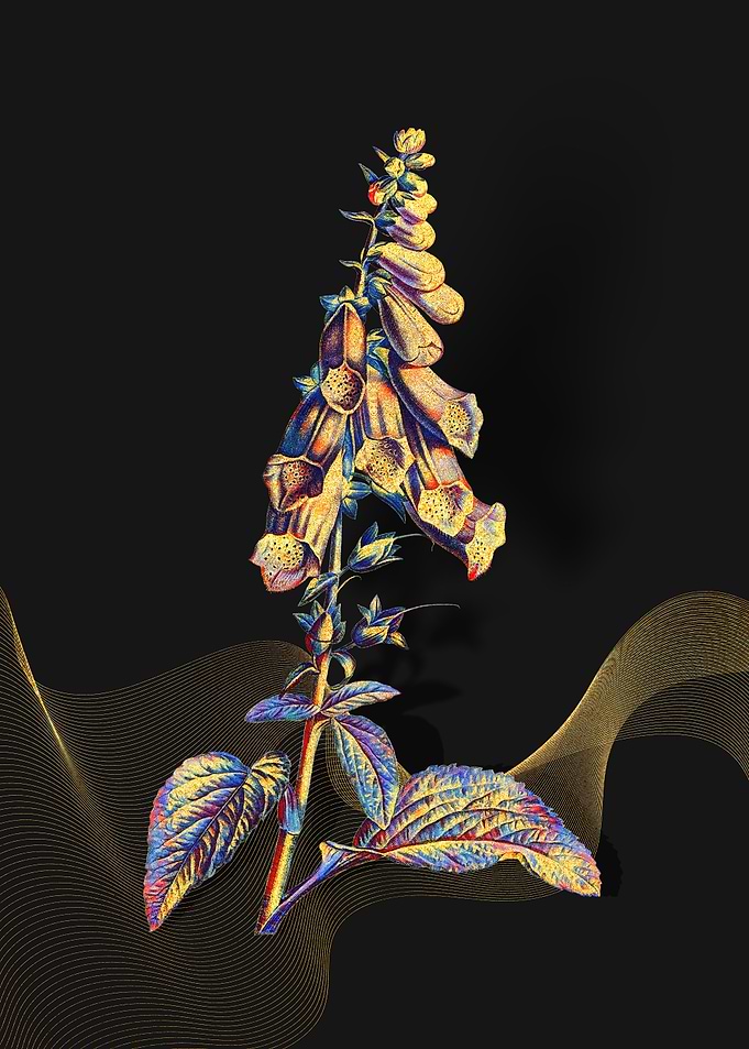 Prismatic Foxglove Flowers