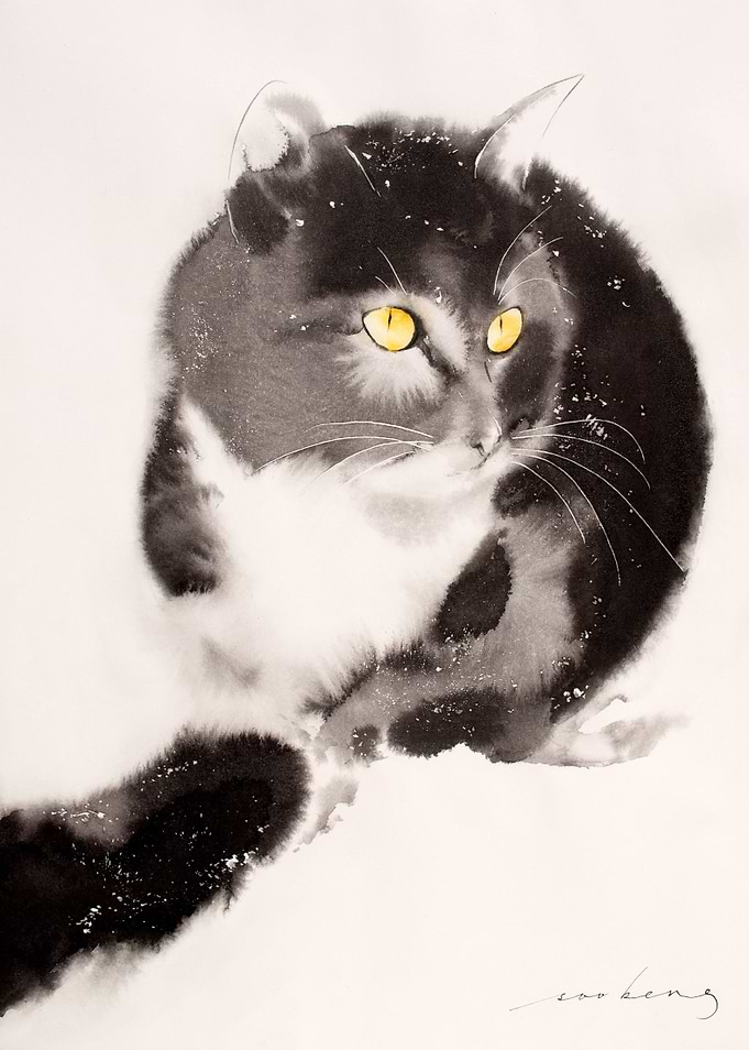 Purrball
