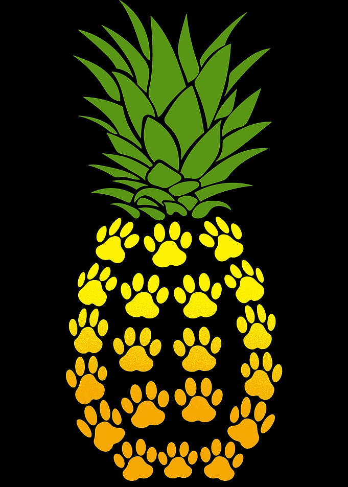 Dog Pinapple
