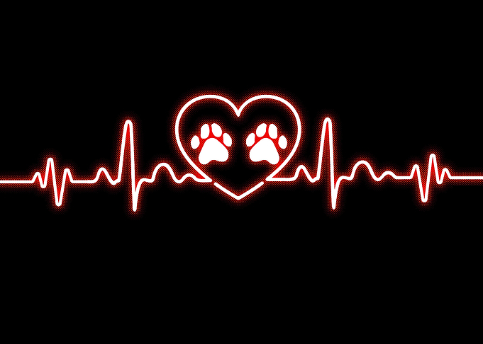 Heartbeat Dog