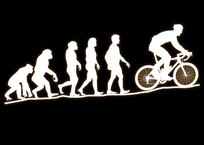 Evolution Mountainbike