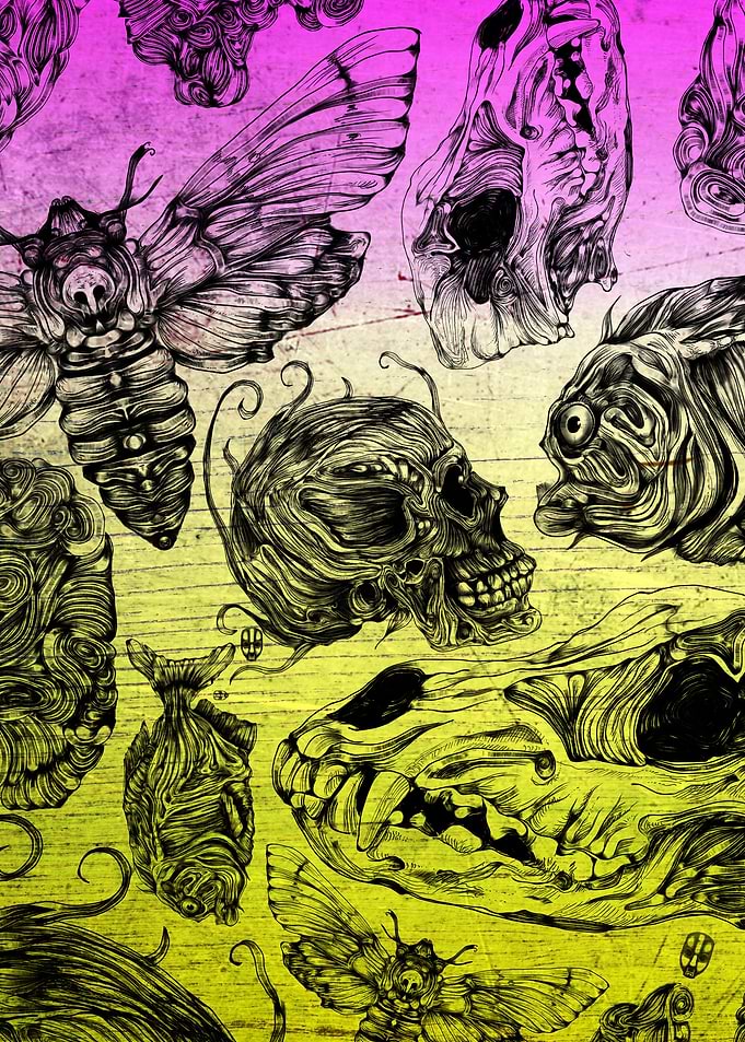 Bones and Insects Color