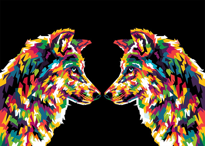 fox colorful