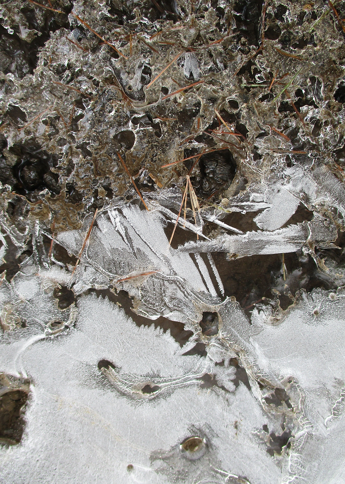 Twigs and Ice I