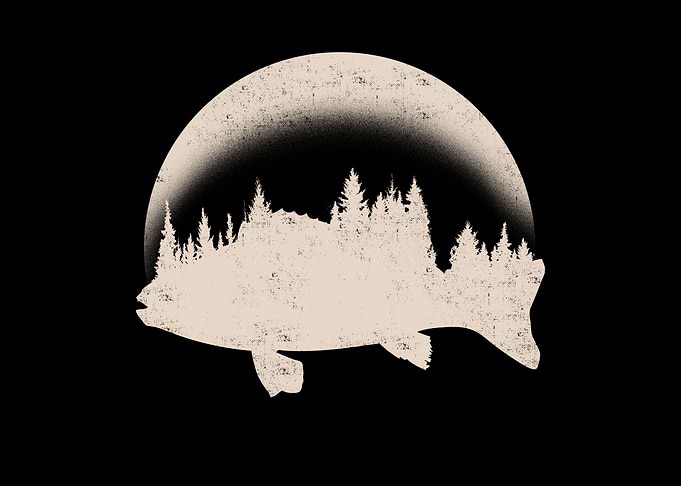 Fish Forest