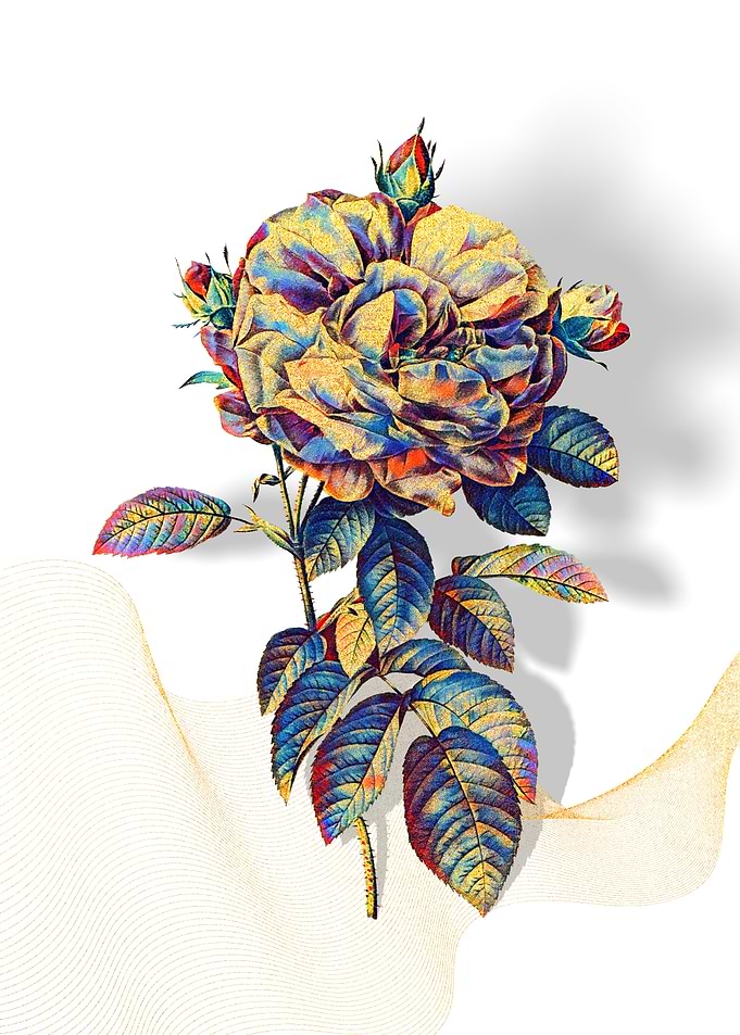 Prismatic French Rose