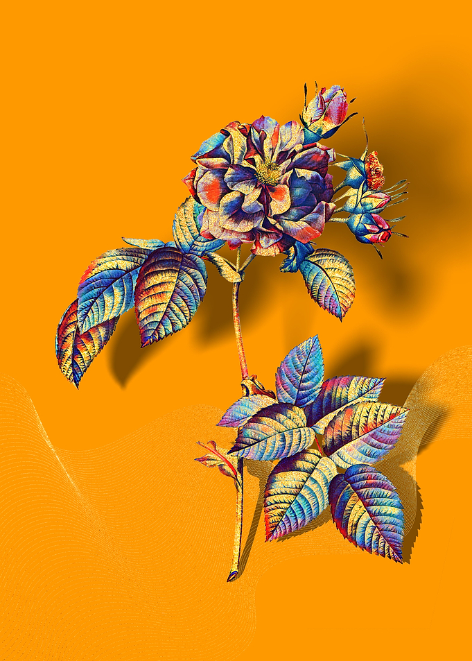 Prismatic Francfort Rose