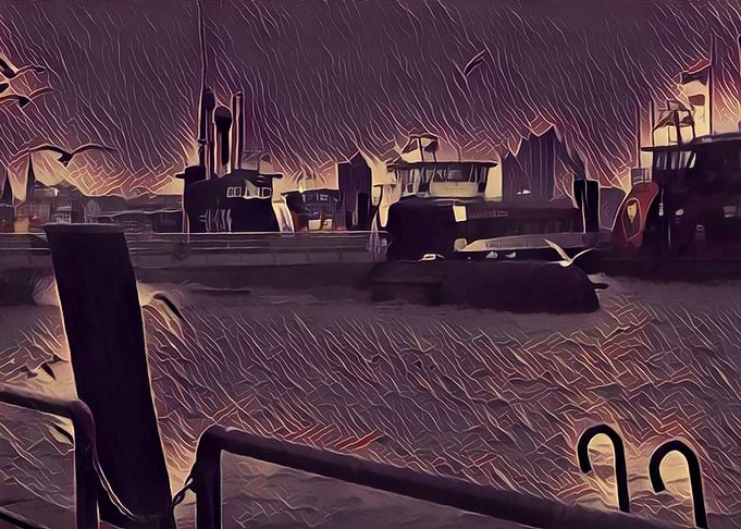 Nocturnal Bay