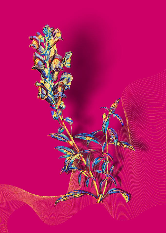 Prismatic Dragon Flowers
