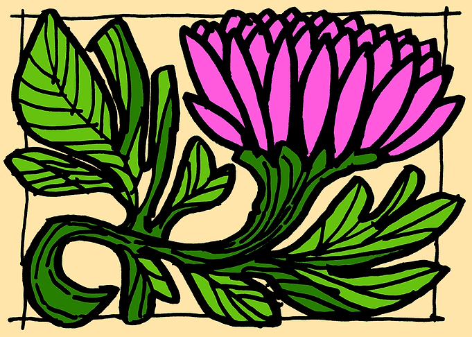 Blooming pink