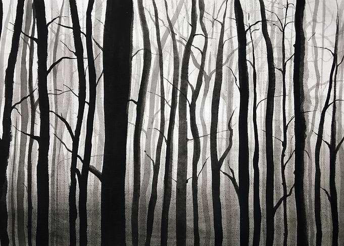 Dark forest