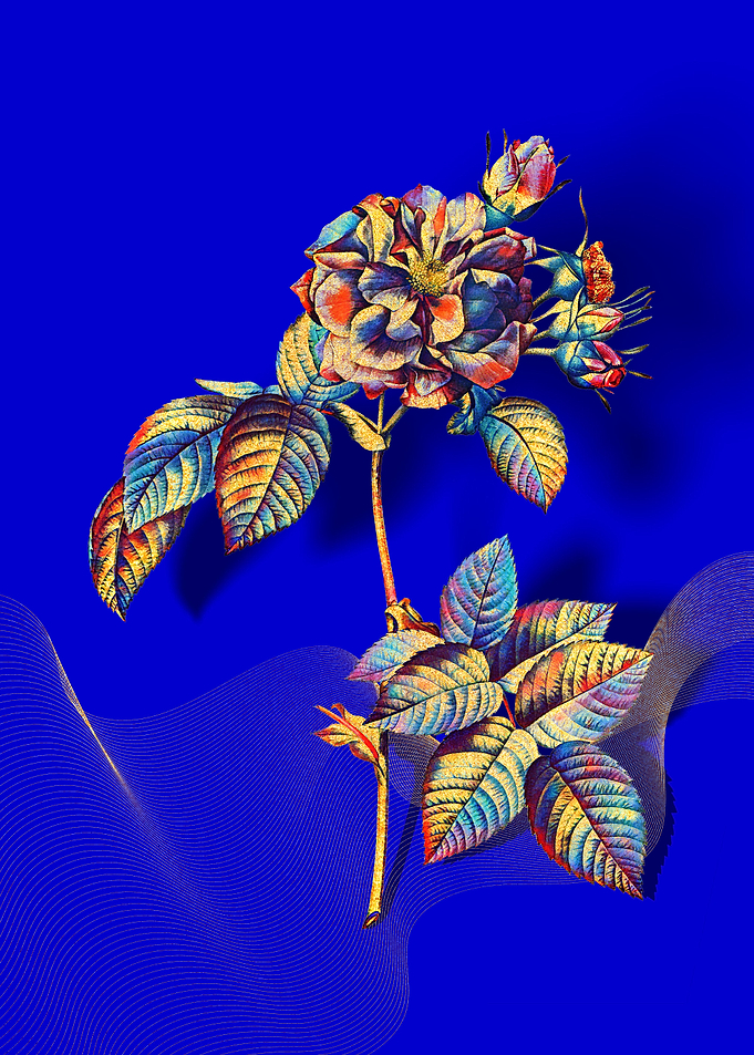 Prismatic Francfort Rose