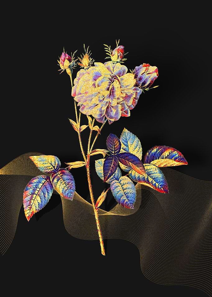 Prismatic Agatha Rose