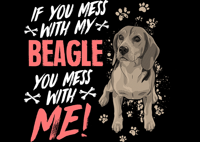 Beagle Dog