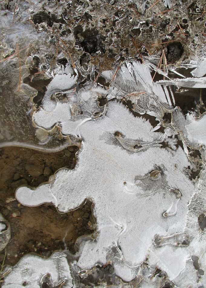 Twigs and Ice III