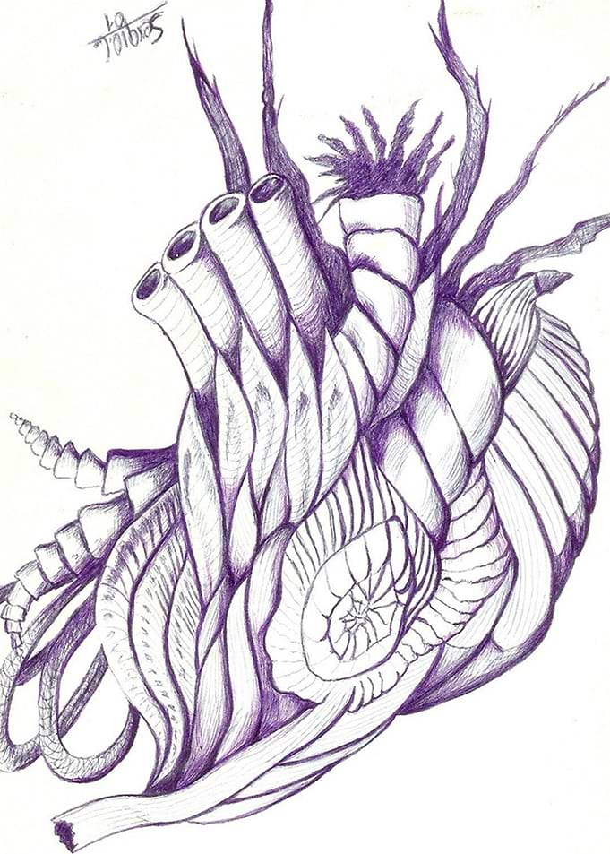 Mutacion Organica