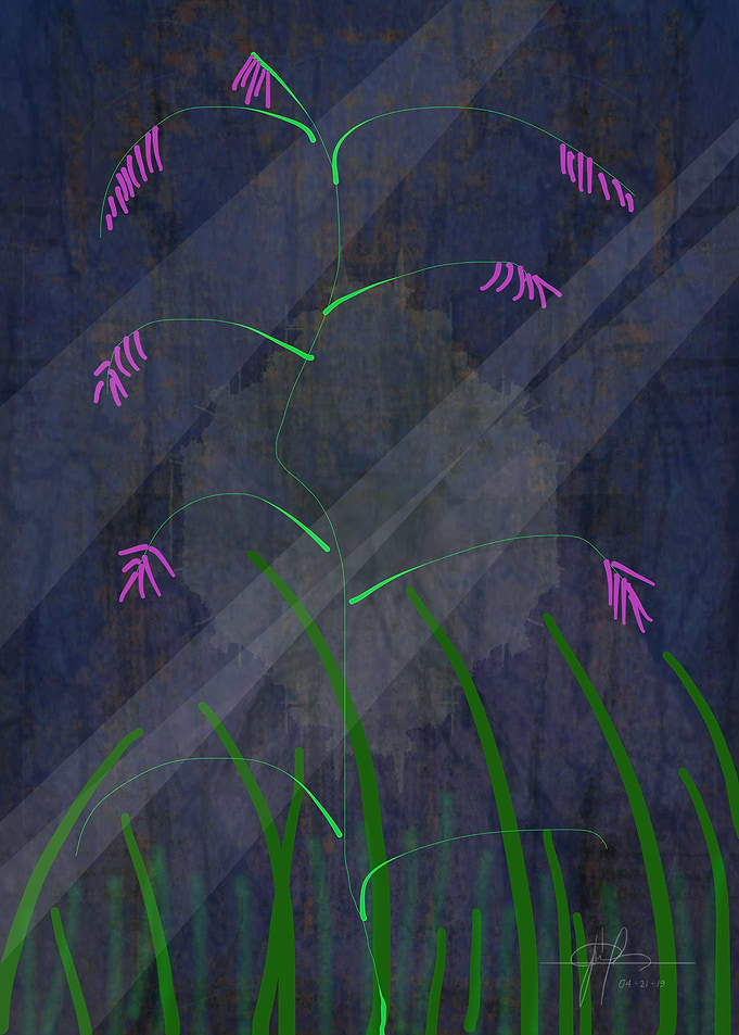 VINE SPROUT