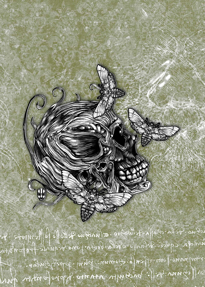 Skull and Moths