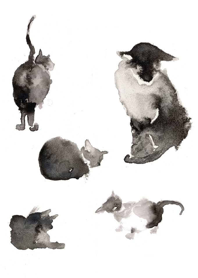 Cats