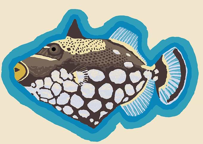 Picasso Clownfish