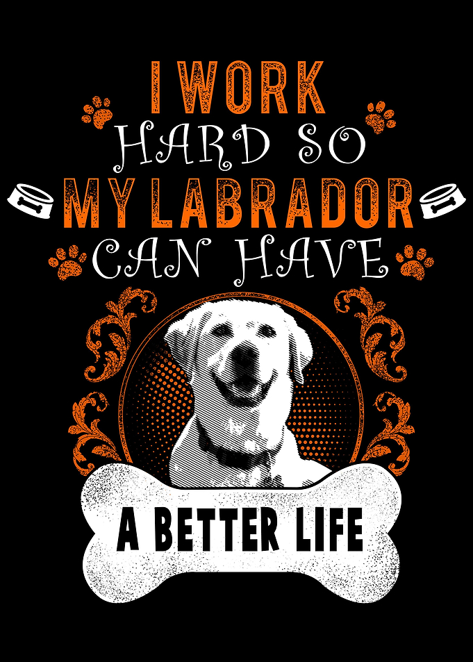 Labrador Dog