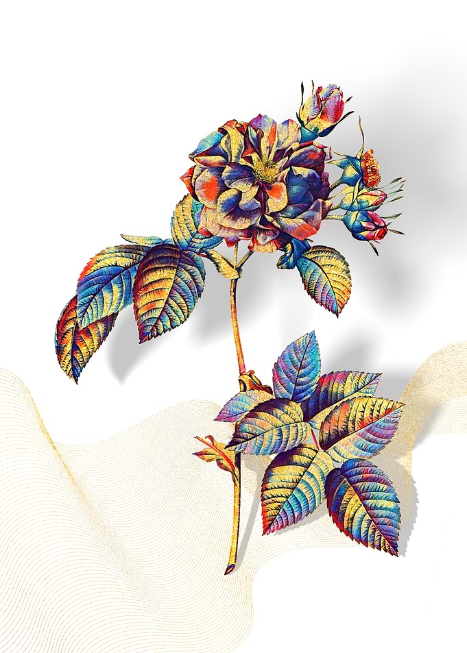 Prismatic Francfort Rose