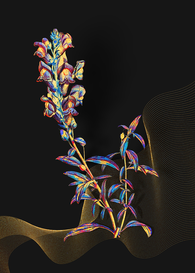 Prismatic Dragon Flowers
