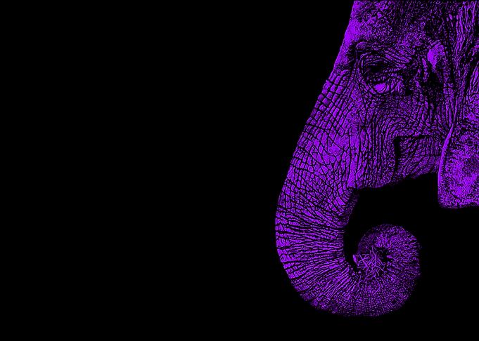 purple elephant