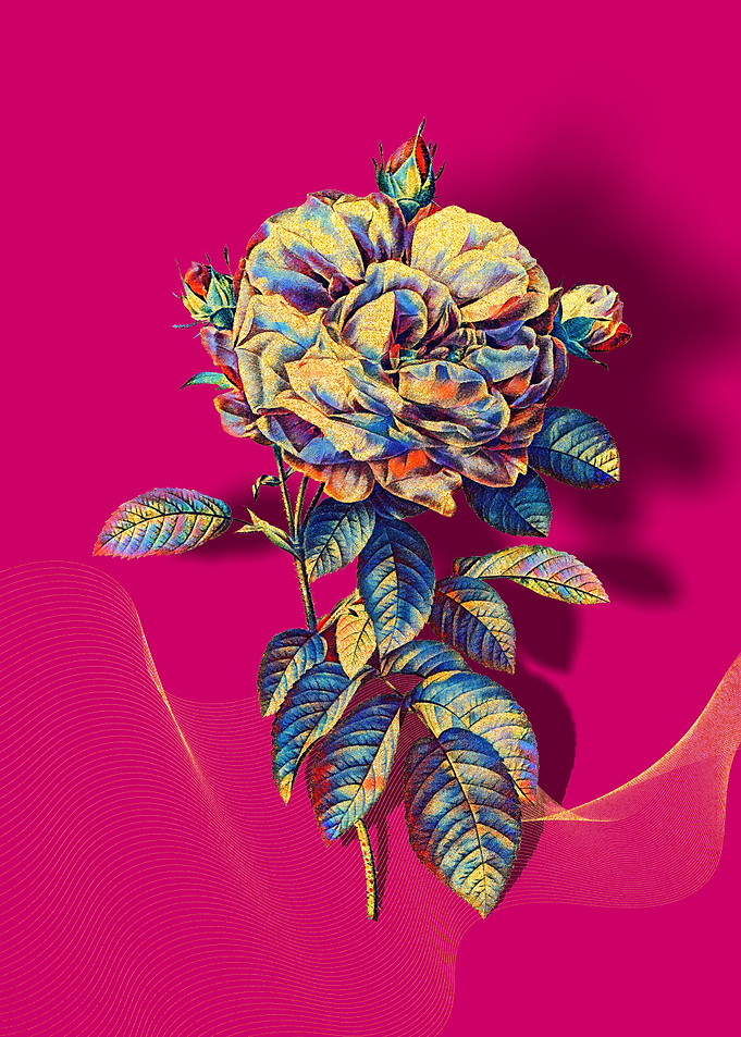 Prismatic French Rose