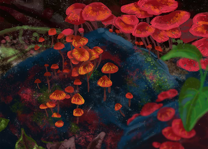 Nariva shrooms
