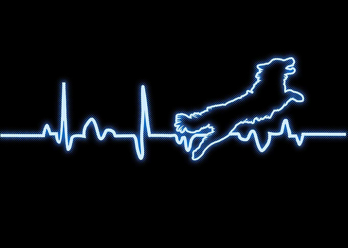 Heartbeat Dog Dogs