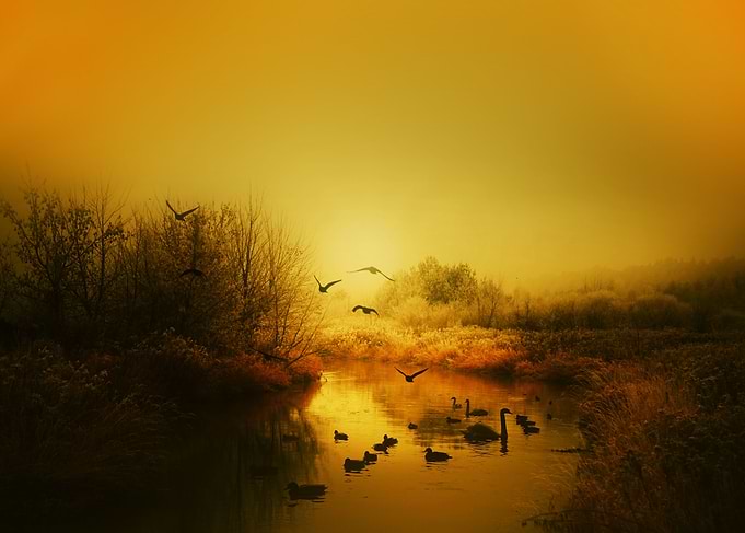 Autumn Birds