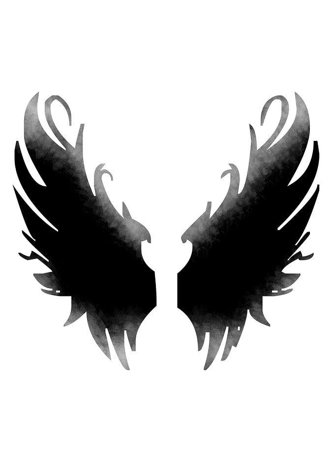 WINGS