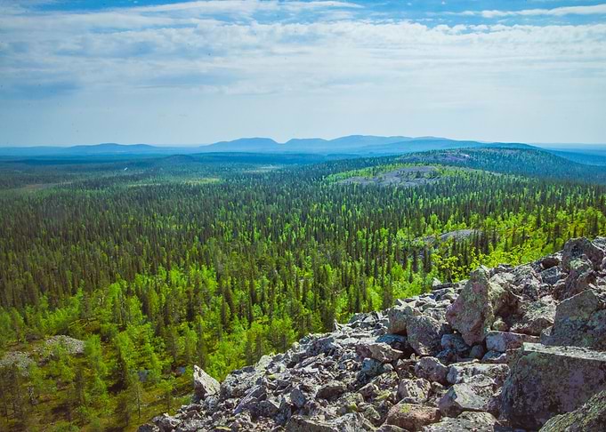 Green Lapland
