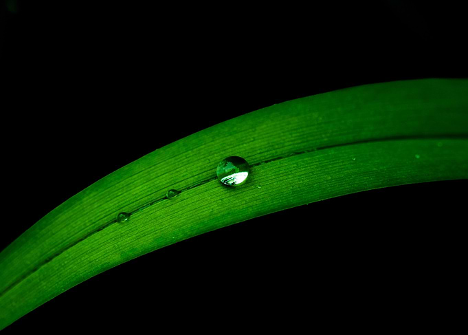 The perfect drop