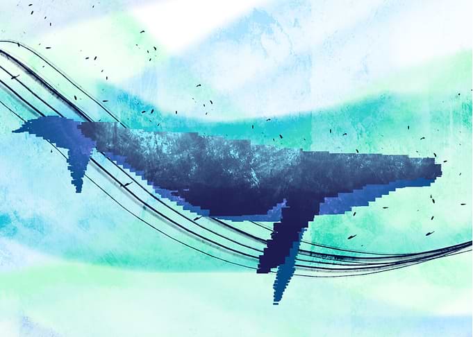 Blue Whale