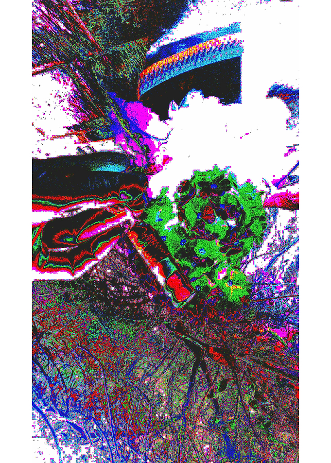 Landscape 1