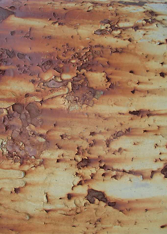 Rust and Peeling