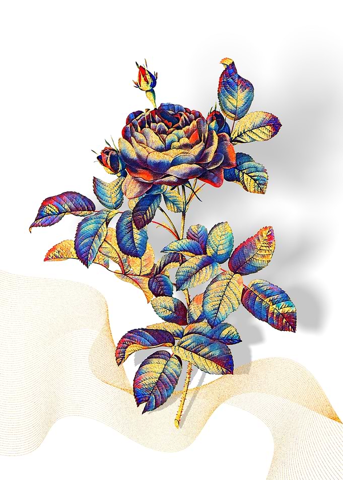Prismatic Gallic Rose