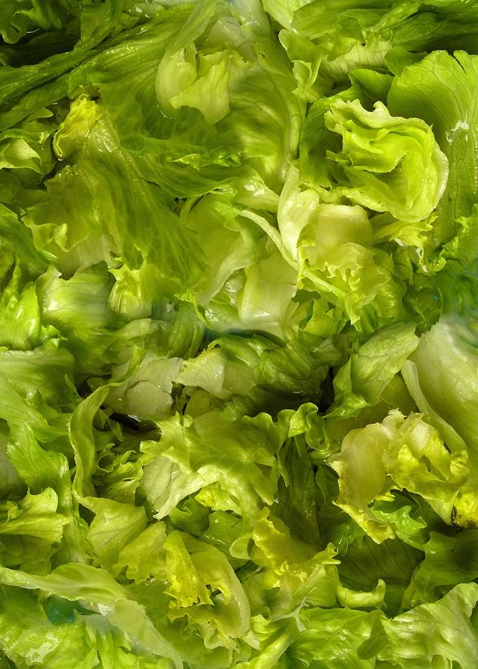 salad